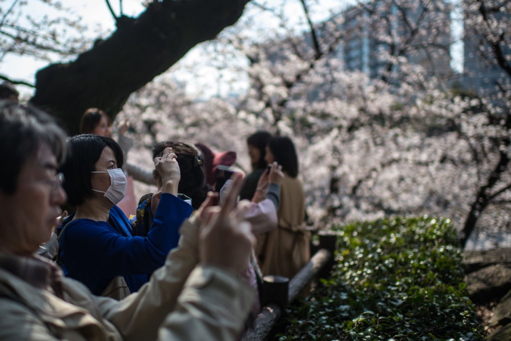 日本文化 又到了惱人的季節 在日外國人分享花粉症的 驚 驗 香港01 旅遊