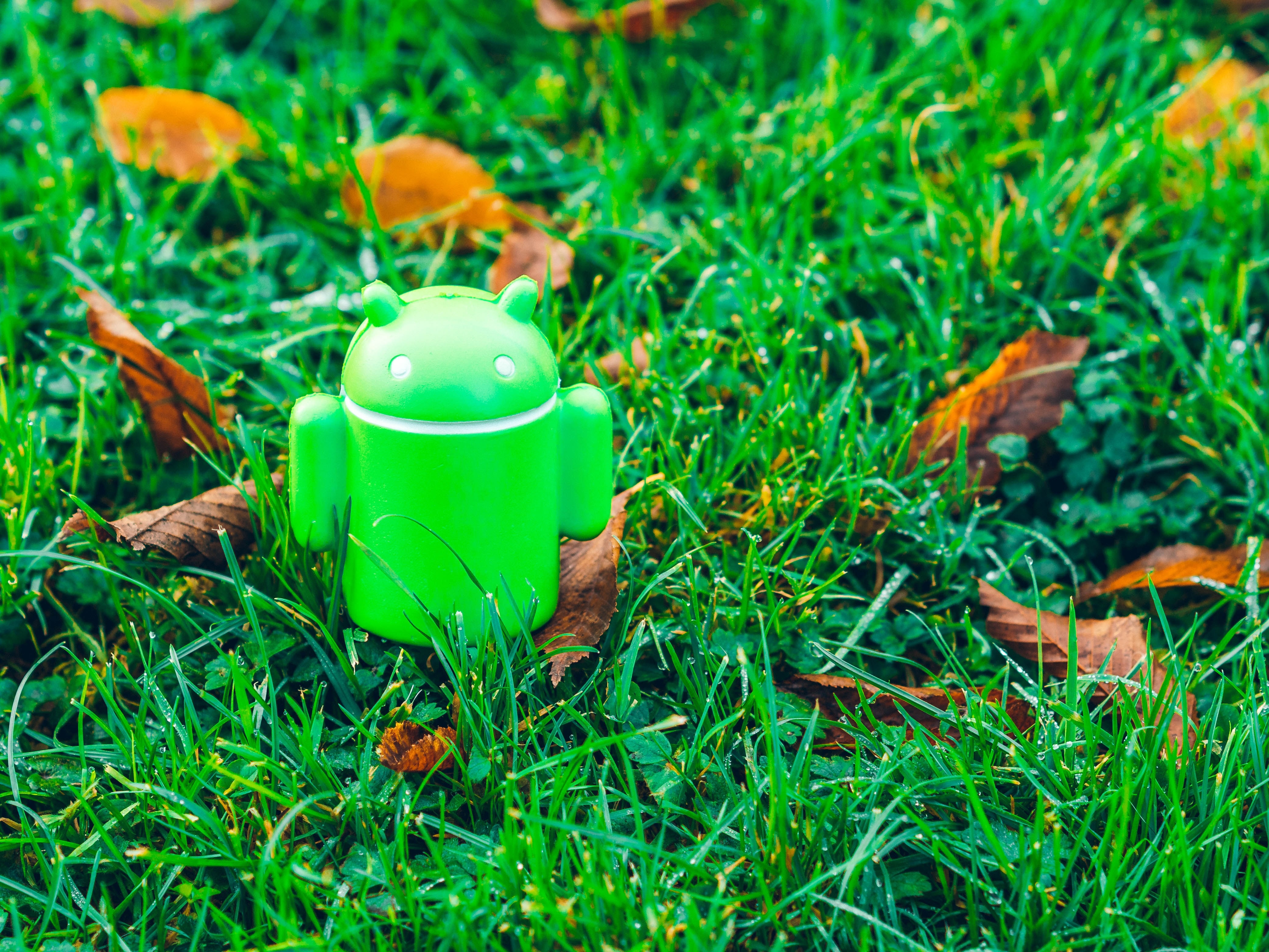 Android 11功能意外曝光　加強折機支援、新Emoji、自動黑暗模式
