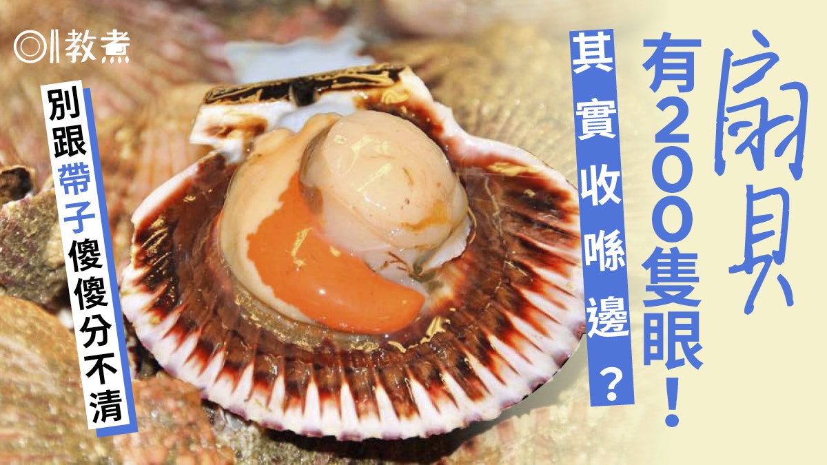 【扇貝冷知識】驚現200隻眼如超級望遠鏡 扇貝vs帶子如何分辨? 【扇貝冷知識】驚現200隻眼如超級望遠鏡 扇貝vs帶子如何分辨?