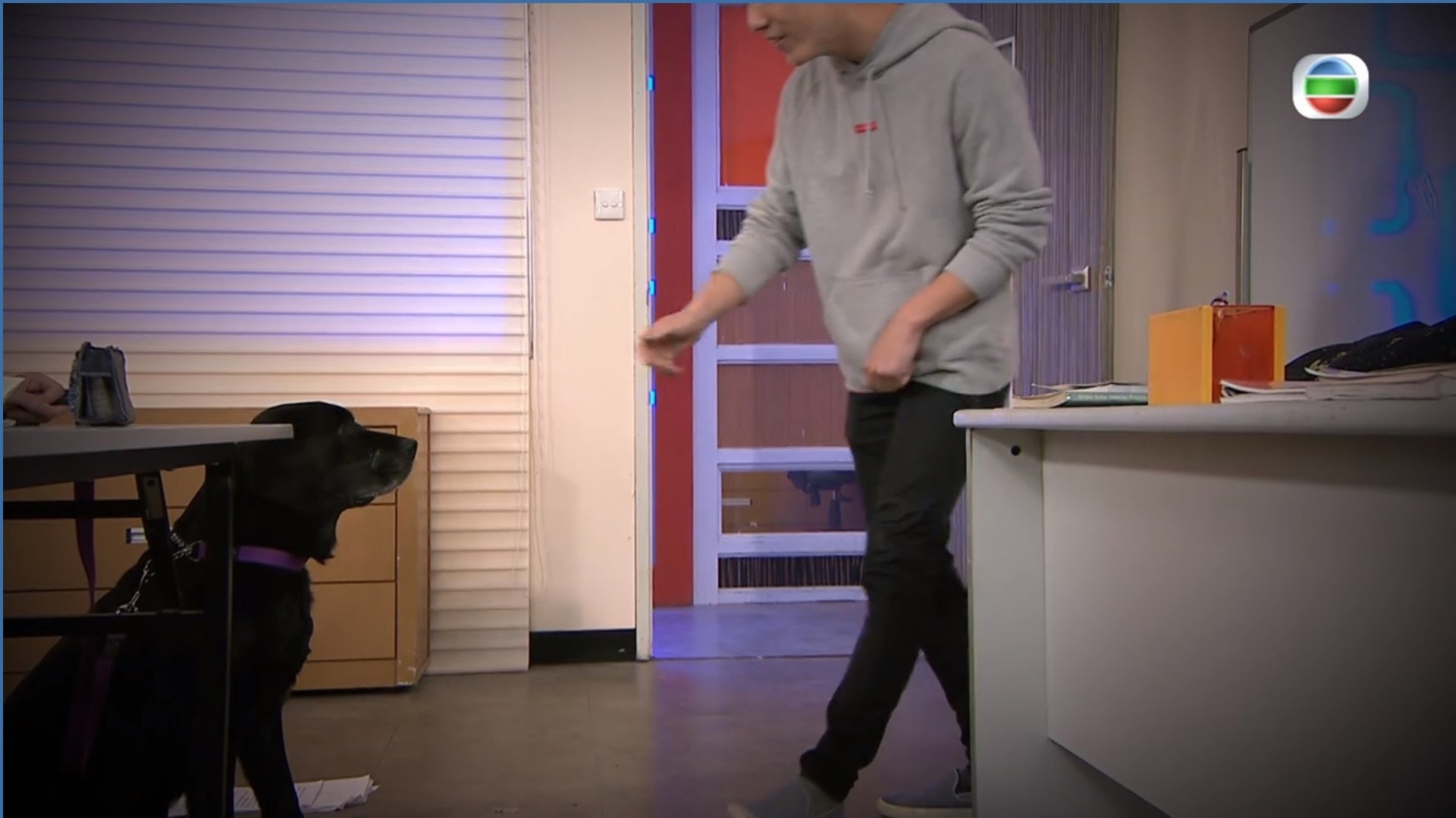 另一角色嘗試觸摸導盲犬。(電視截圖) 另一角色嘗試觸摸導盲犬。(電視截圖)