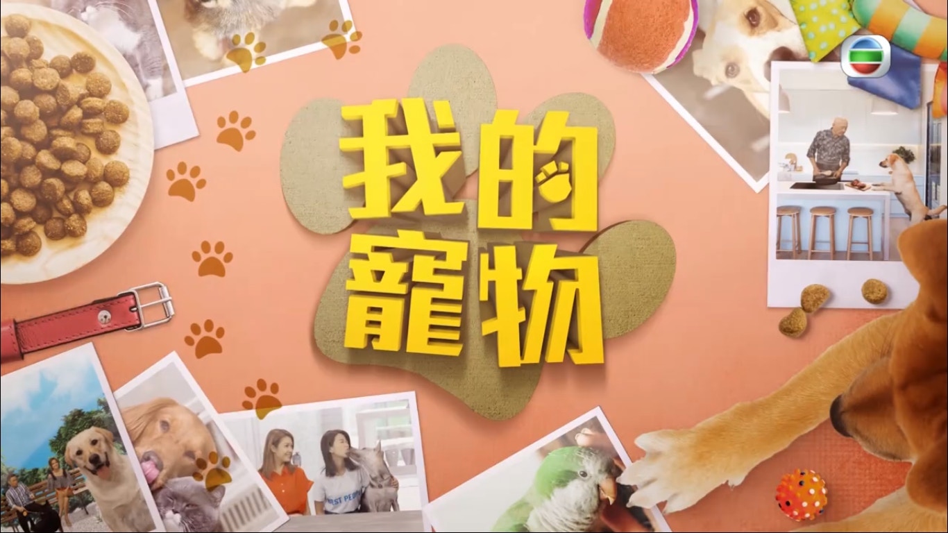 TVB寵物節目《我的寵物》邀請了李家鼎(鼎爺)為寵主示範狗食烹調手法。(節目截圖 TVB寵物節目《我的寵物》邀請了李家鼎(鼎爺)為寵主示範狗食烹調手法。(節目截圖