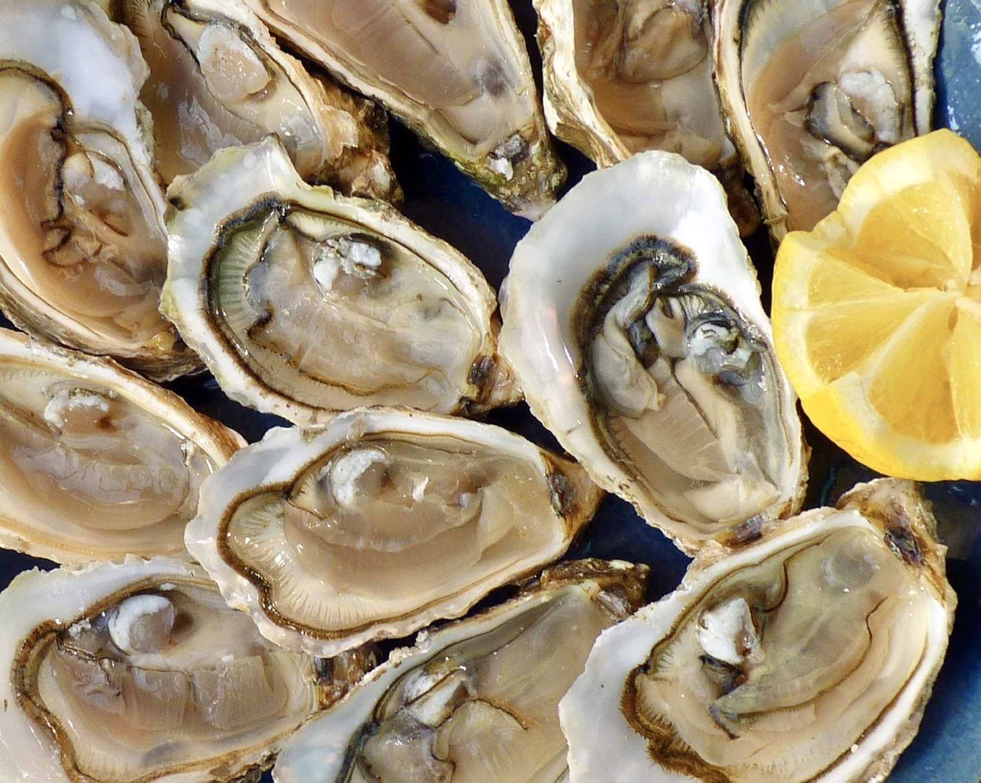 蠔的鋅質(Zinc)非常豐富,可避免掉髮發生。(macayran/Pixabay) 蠔的鋅質(Zinc)非常豐富,可避免掉髮發生。(macayran/Pixabay)