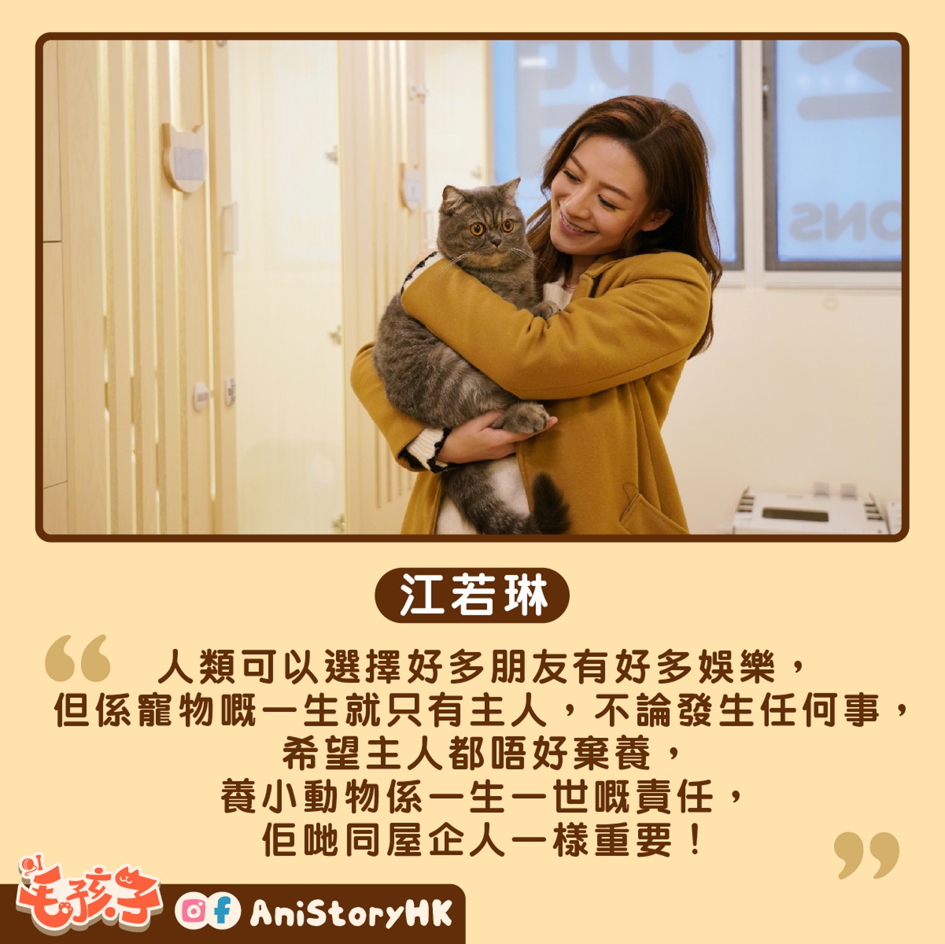 不少寵主因疫情而取消外遊,江若琳經營的貓酒店生意亦大受影響。 不少寵主因疫情而取消外遊,江若琳經營的貓酒店生意亦大受影響。