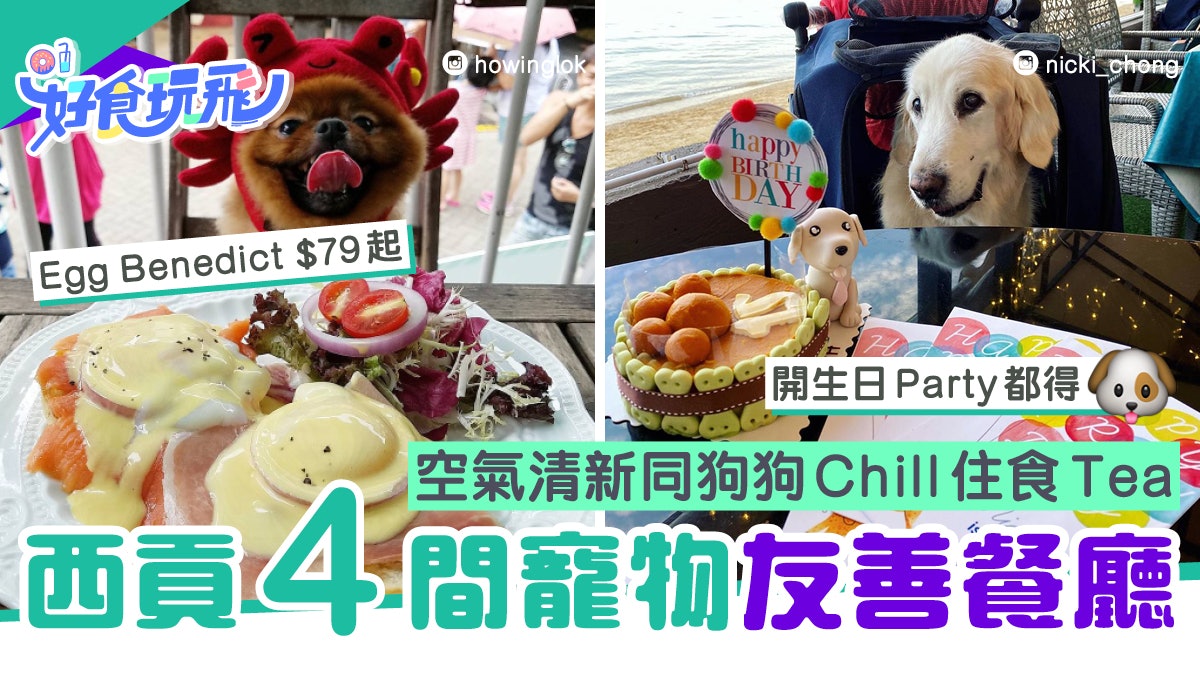 狗狗好去處 西貢4間露天寵物友善餐廳帶毛孩放電chill住歎咖啡 香港01 食玩買 狗狗好去處 西貢4間露天寵物友善餐廳帶毛孩放電chill住歎咖啡 香港01 食玩買