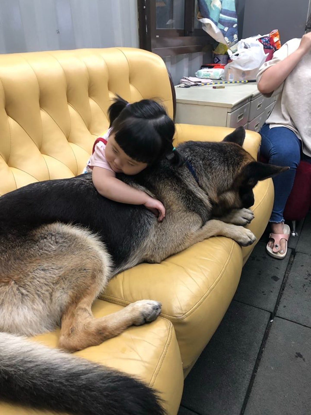 錢錢給妹妹滿滿的安全感。(ETtoday提供,圖/網友龐世貞授權) 錢錢給妹妹滿滿的安全感。(ETtoday提供,圖/網友龐世貞授權)