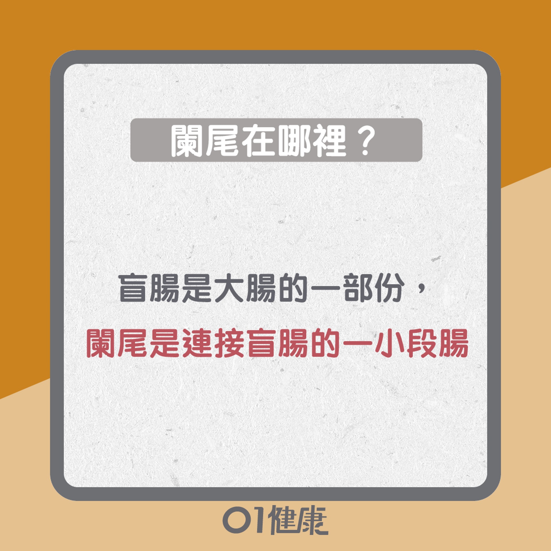 闌尾炎知多啲(01製圖) 闌尾炎知多啲(01製圖)