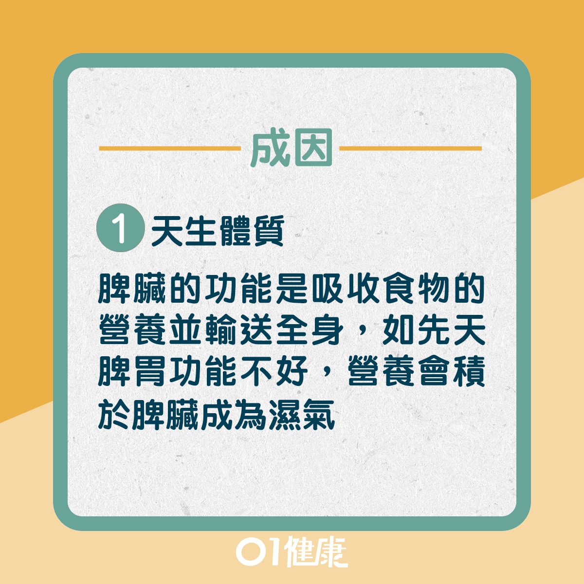 外濕內濕有分別？（01製圖）