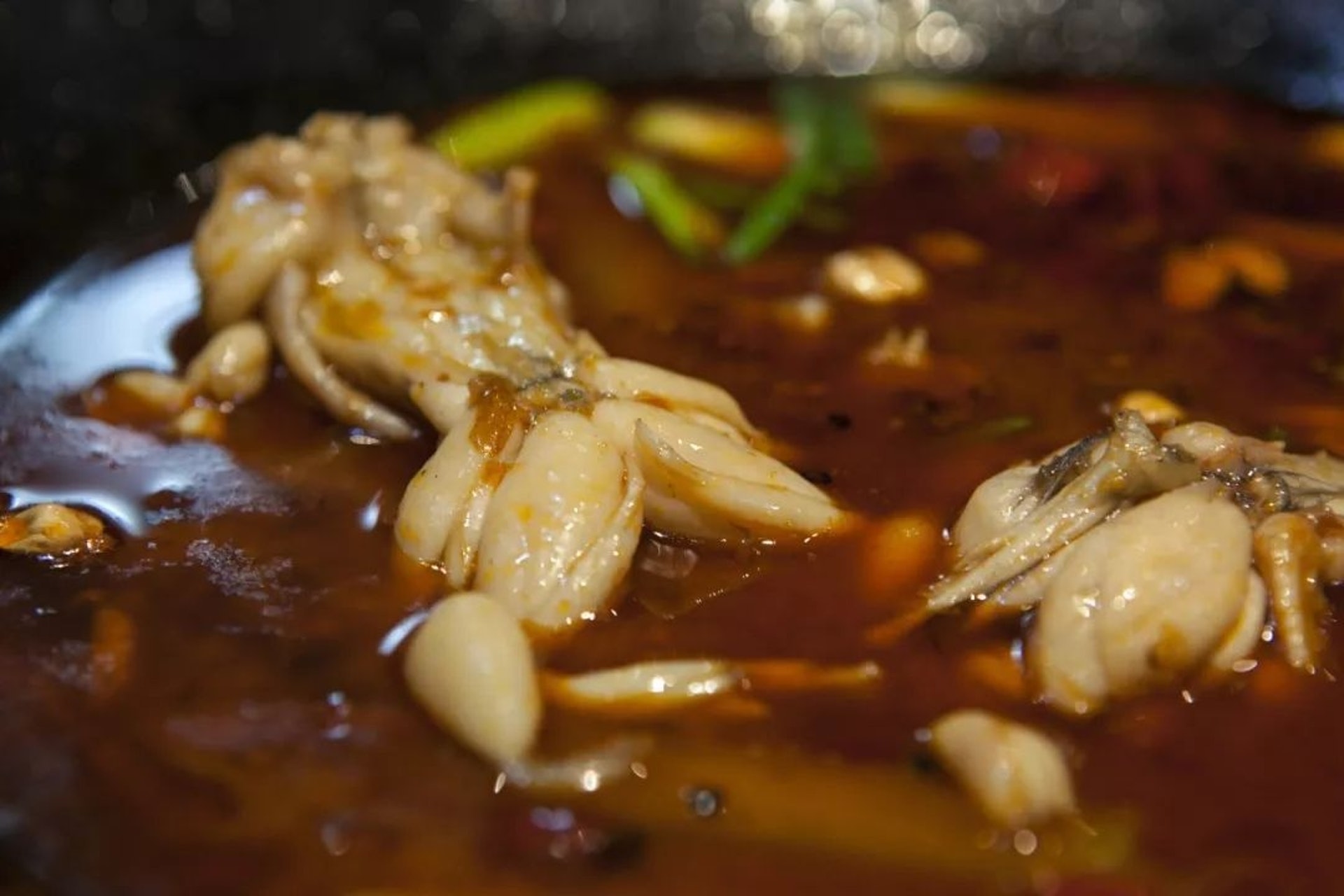 龜鱉蛙等餐桌上常見的兩棲動物仍能繼續人工養殖並食用。(資料圖片) 龜鱉蛙等餐桌上常見的兩棲動物仍能繼續人工養殖並食用。(資料圖片)
