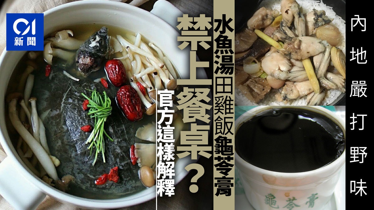 【新冠肺炎】內地全面禁食野生動物 農業農村部:龜鱉牛蛙不禁食 【新冠肺炎】內地全面禁食野生動物 農業農村部:龜鱉牛蛙不禁食