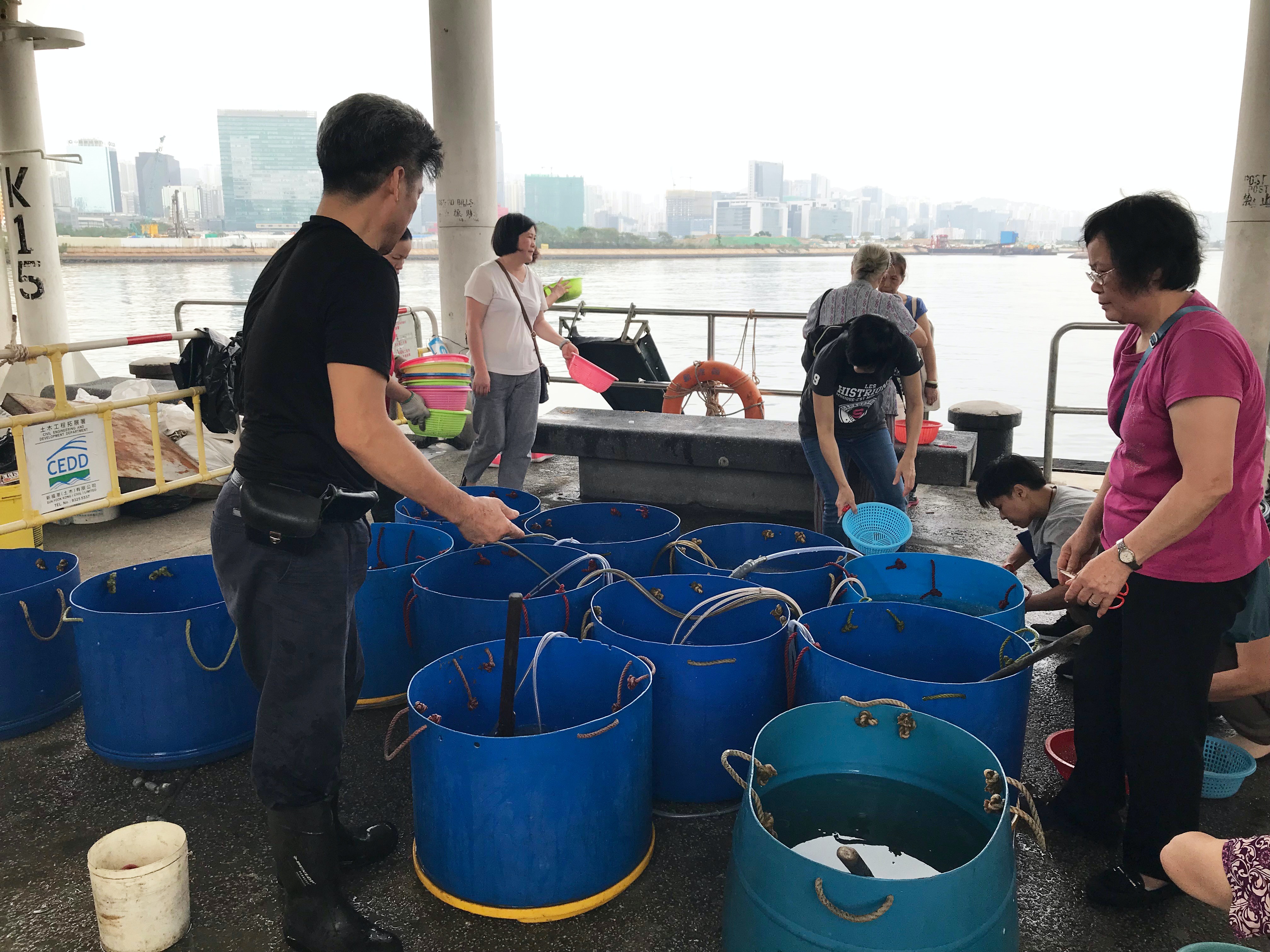 放生行為究竟是好事?還只是好心做壞事,值得反思。(愛護動物協會) 放生行為究竟是好事?還只是好心做壞事,值得反思。(愛護動物協會)