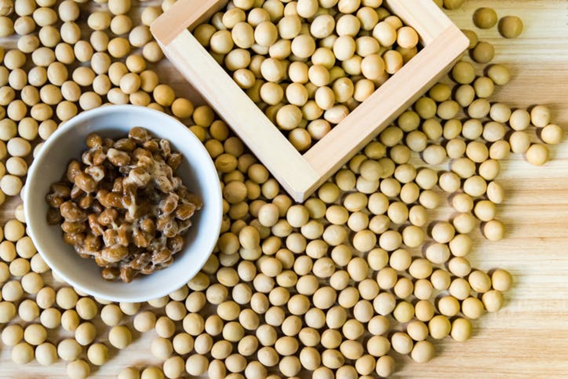 森美健康 開講opentalk 納豆到底幾有營養 森美健康 開講opentalk 納豆到底幾有營養