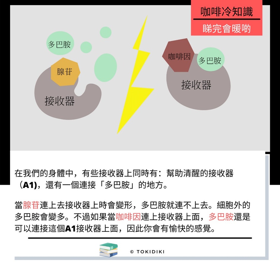 咖啡冷知識 開講opentalk 咖啡冷知識 開講opentalk