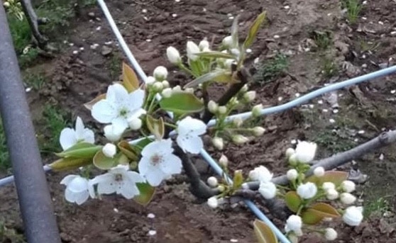 東京 開講opentalk