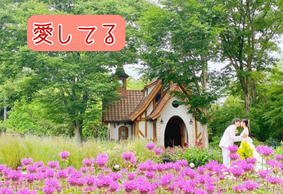 Apictnyoh4qd4 鳳仙花 花言葉 四字熟語 Apictnyoh4qd4 鳳仙花 花言葉 四字熟語