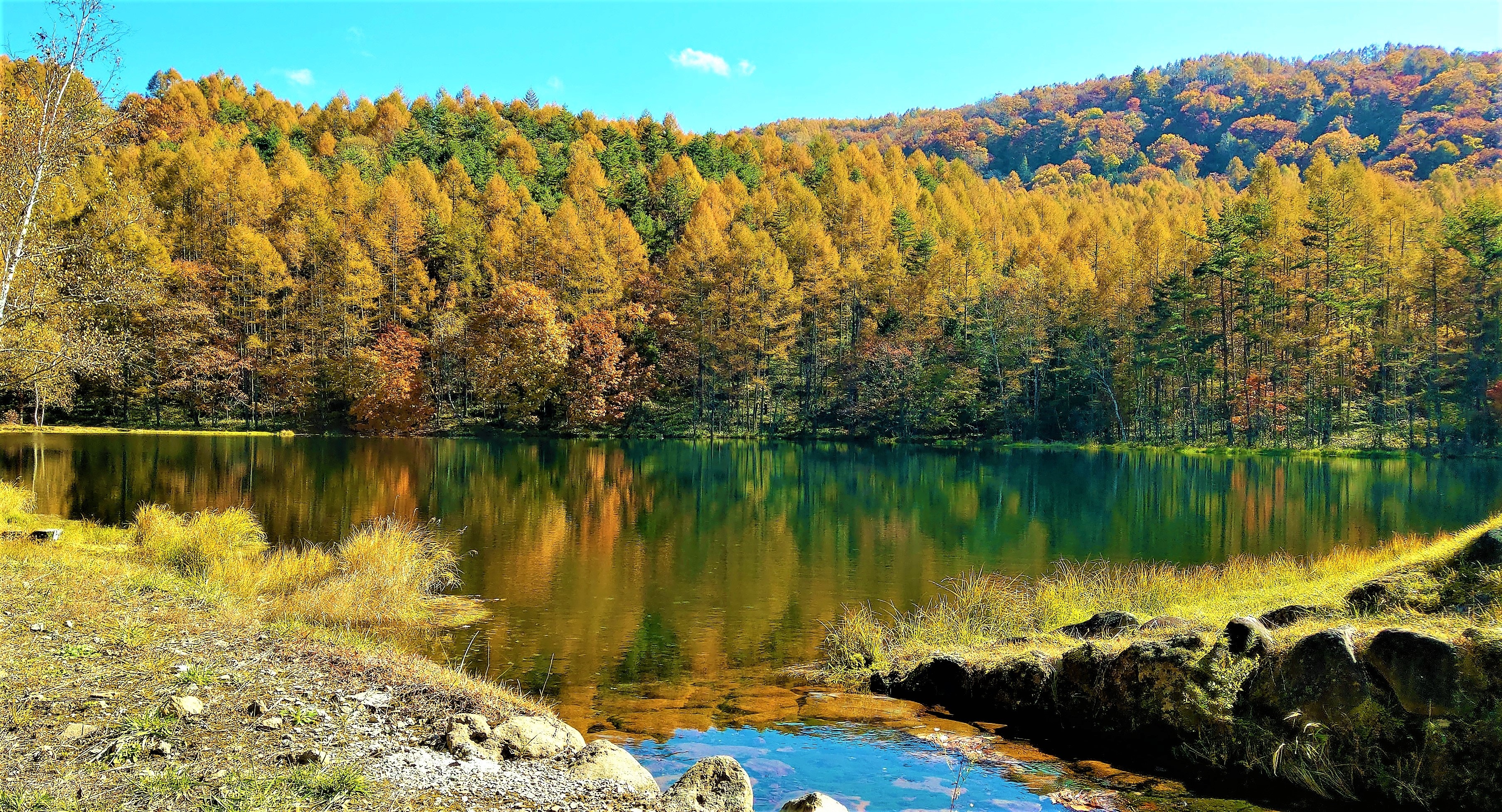 茅野市北山蓼科高原 紅葉見頃 U Blog