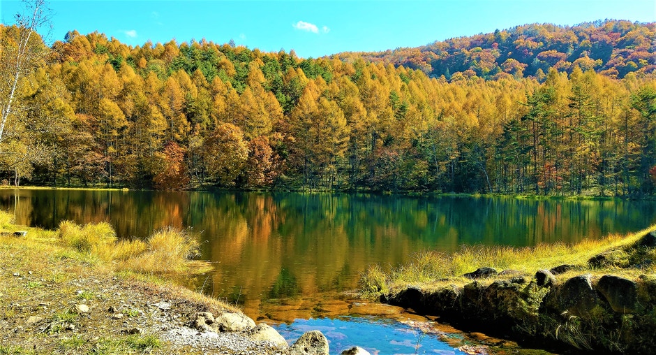 茅野市北山蓼科高原 紅葉見頃 U Blog 茅野市北山蓼科高原 紅葉見頃 U Blog