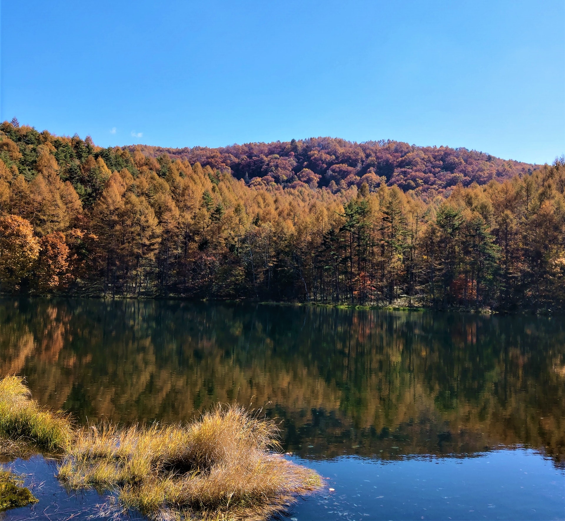 茅野市北山蓼科高原 紅葉見頃 U Blog 茅野市北山蓼科高原 紅葉見頃 U Blog
