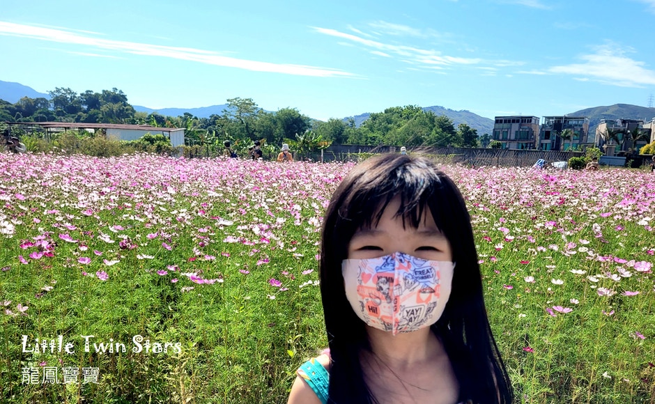 Miss Swan Swan 開講opentalk 親子好去處 偽北海道花海 日本感街道 Miss Swan Swan 開講opentalk 親子好去處 偽北海道花海 日本感街道