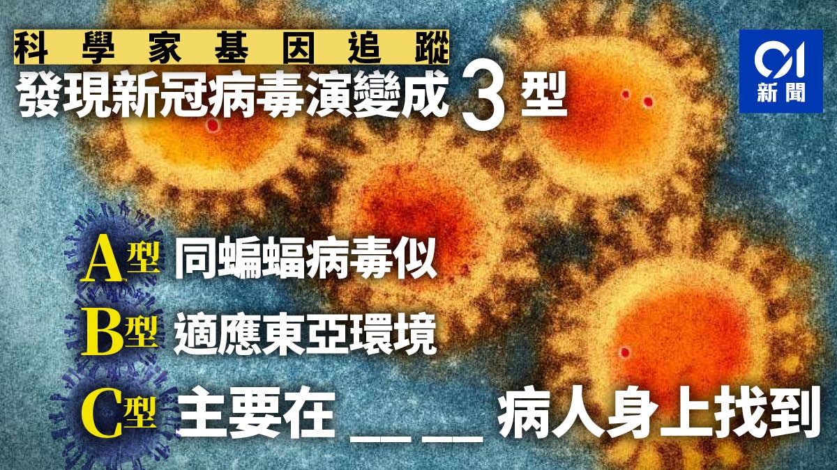 新冠肺炎 研究報告指病毒有三個世系東亞 美國 歐洲各不同 香港01 世界說 新冠肺炎 研究報告指病毒有三個世系東亞 美國 歐洲各不同 香港01 世界說