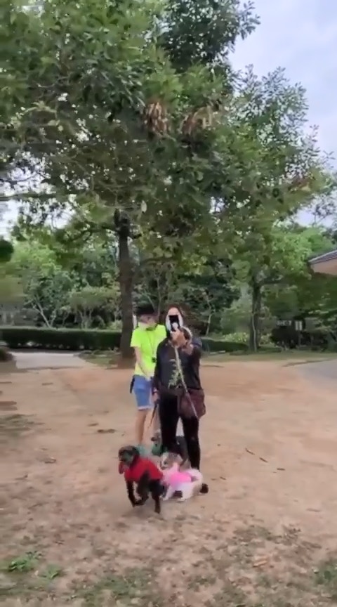 期間黑貴婦多次衝前吠叫。(影片截圖) 期間黑貴婦多次衝前吠叫。(影片截圖)