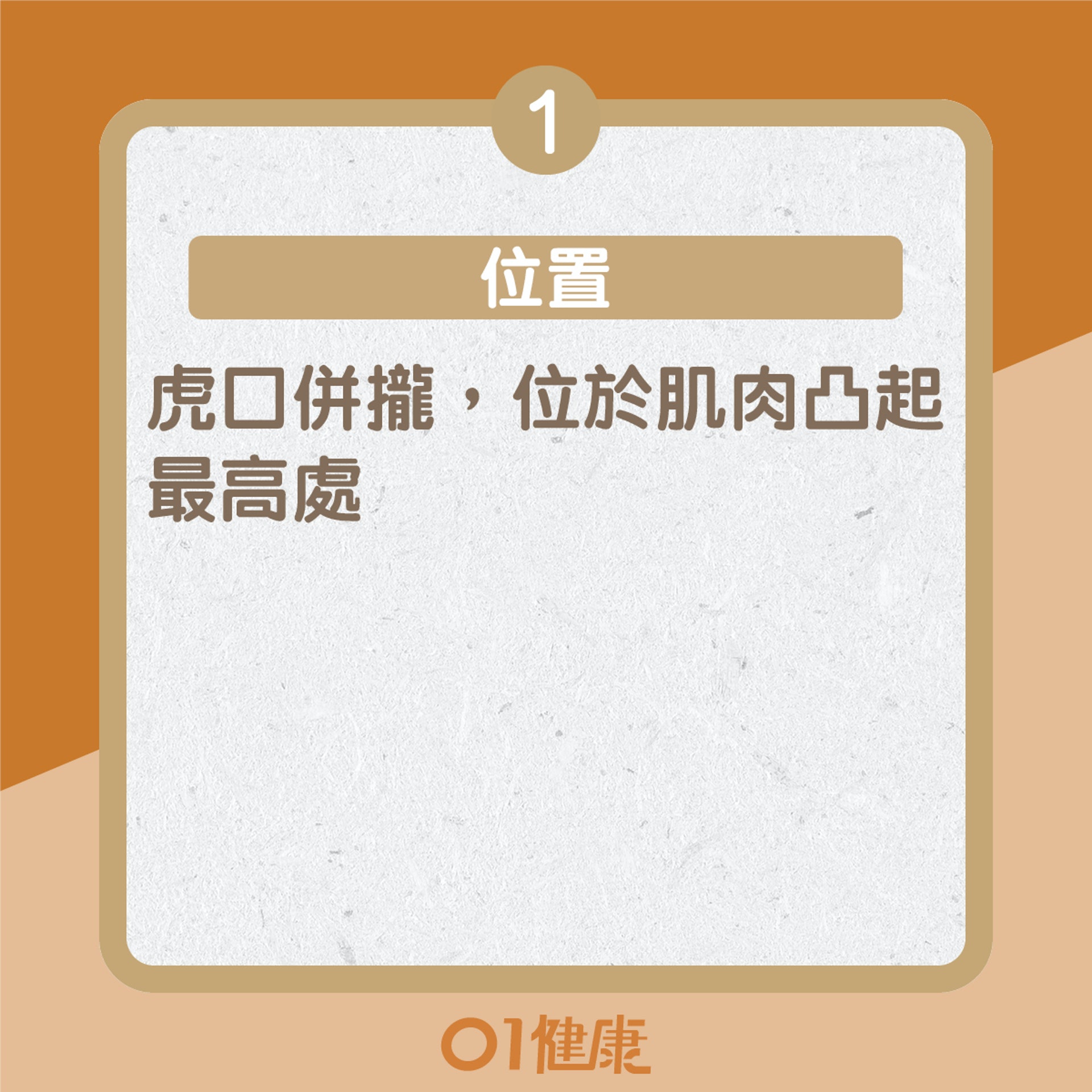 穩定血糖的穴位 (01製圖) 穩定血糖的穴位 (01製圖)