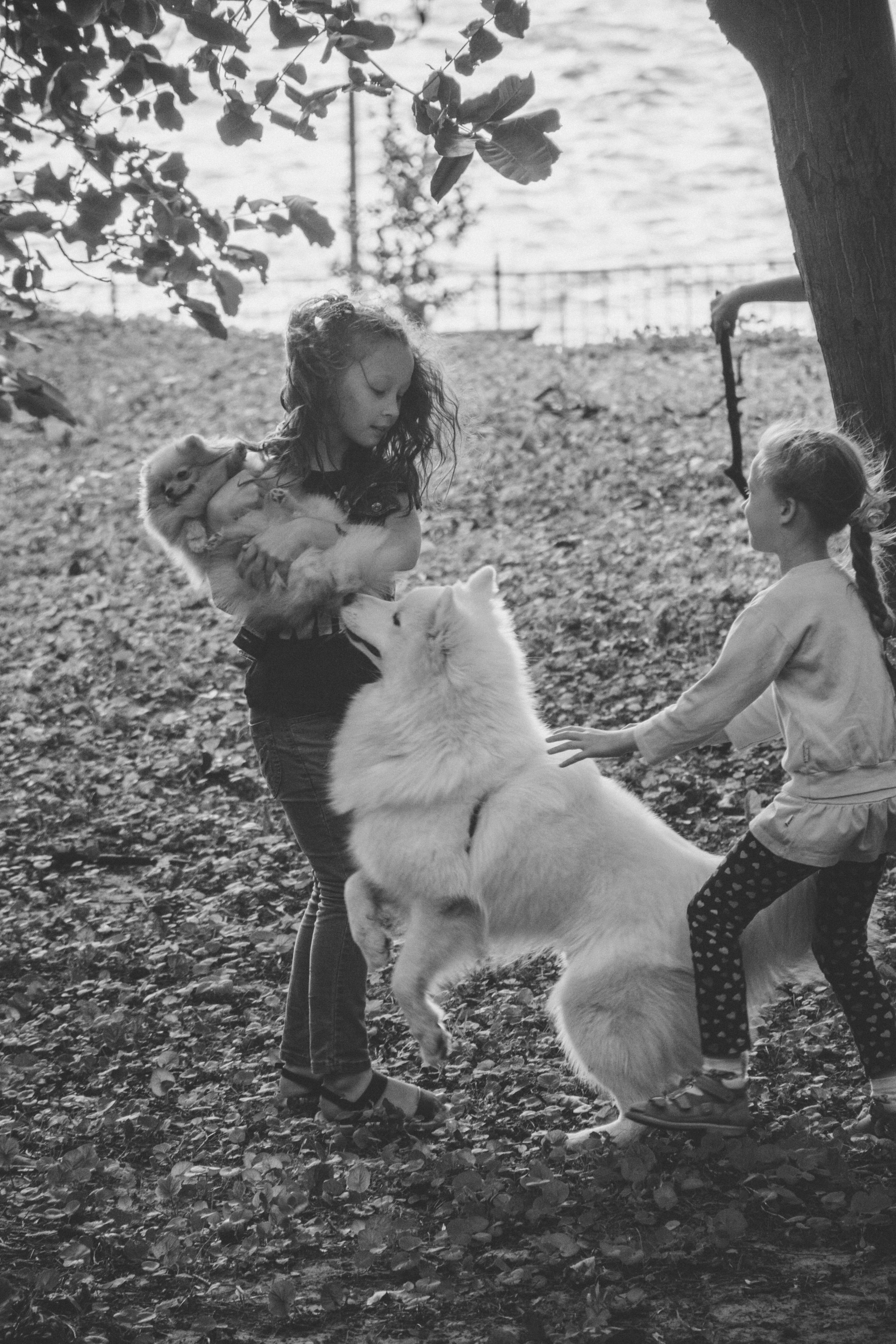 一旦有過於親密、激動的行為,就應該立即加以阻止,讓牠學會適可而止(unsplash) 一旦有過於親密、激動的行為,就應該立即加以阻止,讓牠學會適可而止(unsplash)