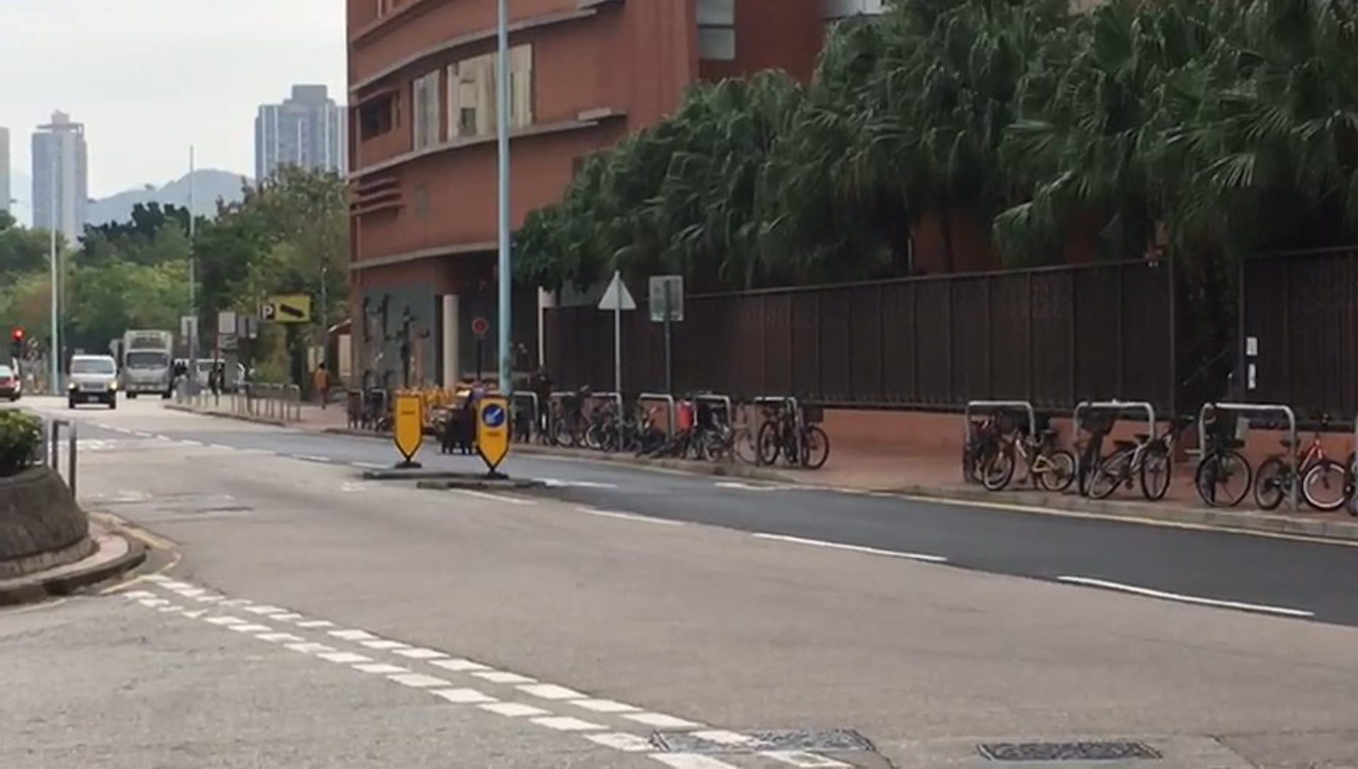 婆婆主要以執拾紙皮維生,經常帶著黑黑在元朗公園一帶執拾紙皮。(受訪者提供) 婆婆主要以執拾紙皮維生,經常帶著黑黑在元朗公園一帶執拾紙皮。(受訪者提供)