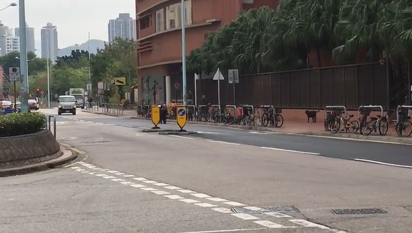 婆婆在馬路上拉著車子,黑黑則在行人路上緊隨其後。(受訪者提供) 婆婆在馬路上拉著車子,黑黑則在行人路上緊隨其後。(受訪者提供)