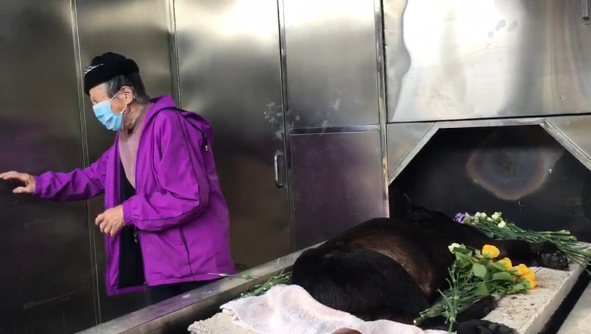 婆婆心情悲慟。(受訪者提供) 婆婆心情悲慟。(受訪者提供)