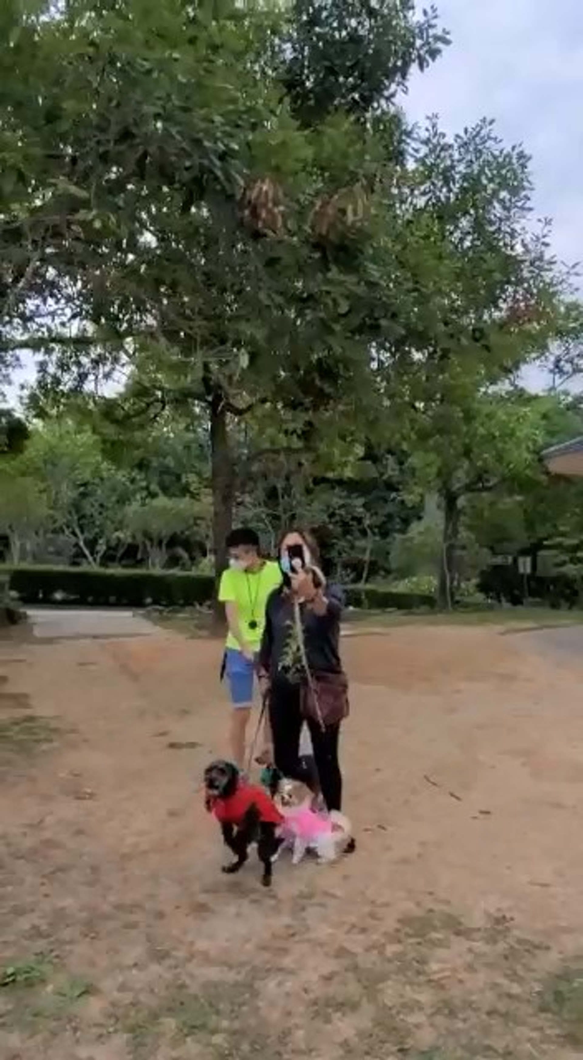 (網上影片截圖) (網上影片截圖)