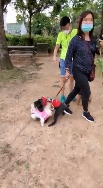 (網上影片截圖) (網上影片截圖)