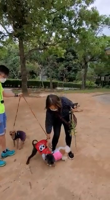 (網上影片截圖) (網上影片截圖)