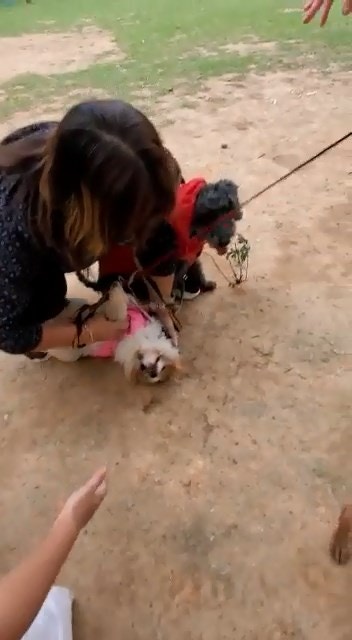 (網上影片截圖) (網上影片截圖)