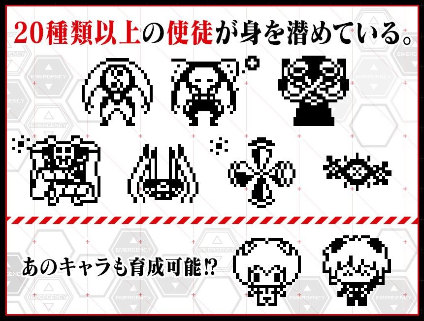 Eva 他媽哥池 使徒育成 以上種類連凌波麗 渚薰都可以養