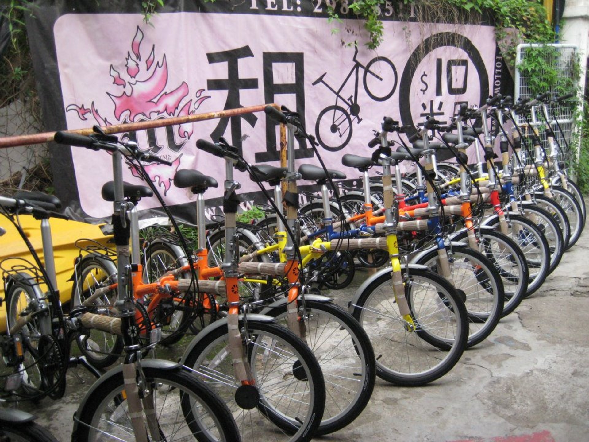 (Sunny Bike Shop 大嶼山單車店FB圖片) (Sunny Bike Shop 大嶼山單車店FB圖片)