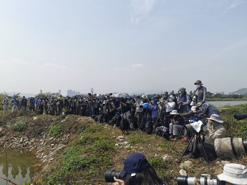 元朗大生圍村民指,近日大批龍友帶同攝影器材闖進村內的魚塘拍攝雀鳥,更留下垃圾及煙頭釀成火警。(網上圖片) 元朗大生圍村民指,近日大批龍友帶同攝影器材闖進村內的魚塘拍攝雀鳥,更留下垃圾及煙頭釀成火警。(網上圖片)