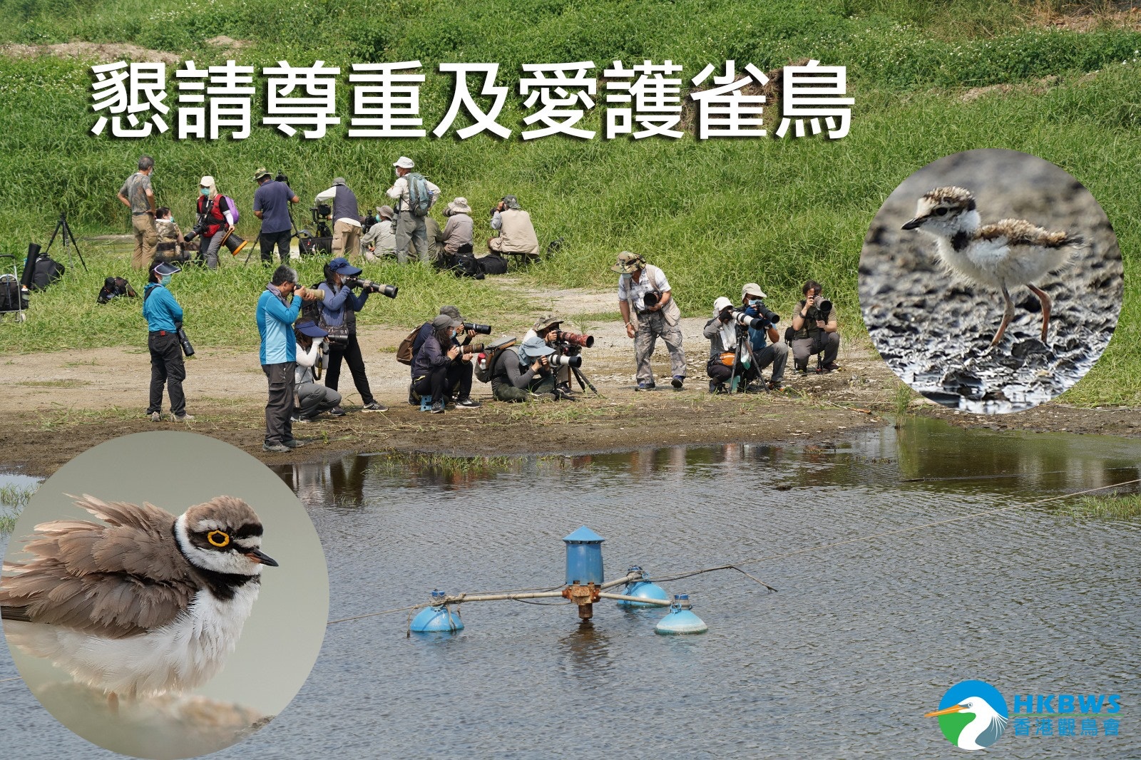 香港觀鳥會成員實地觀察,發現有拍攝者追着幼鳥拍攝,甚至以樹枝掃動草叢,疑似試圖驅趕幼鳥。(香港觀鳥會fb圖片) 香港觀鳥會成員實地觀察,發現有拍攝者追着幼鳥拍攝,甚至以樹枝掃動草叢,疑似試圖驅趕幼鳥。(香港觀鳥會fb圖片)