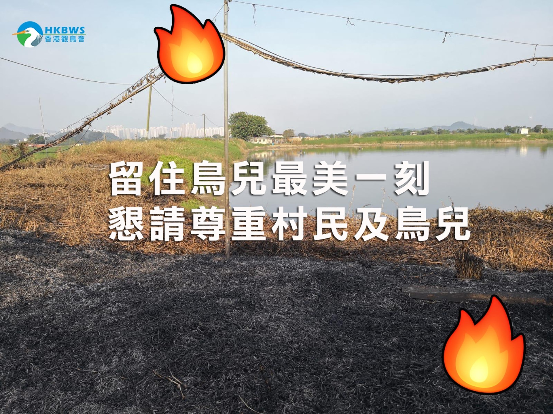 觀鳥會呼籲攝影者享受自由的同時,亦要尊重魚塘擁有者及自然生態。(香港觀鳥會fb圖片) 觀鳥會呼籲攝影者享受自由的同時,亦要尊重魚塘擁有者及自然生態。(香港觀鳥會fb圖片)