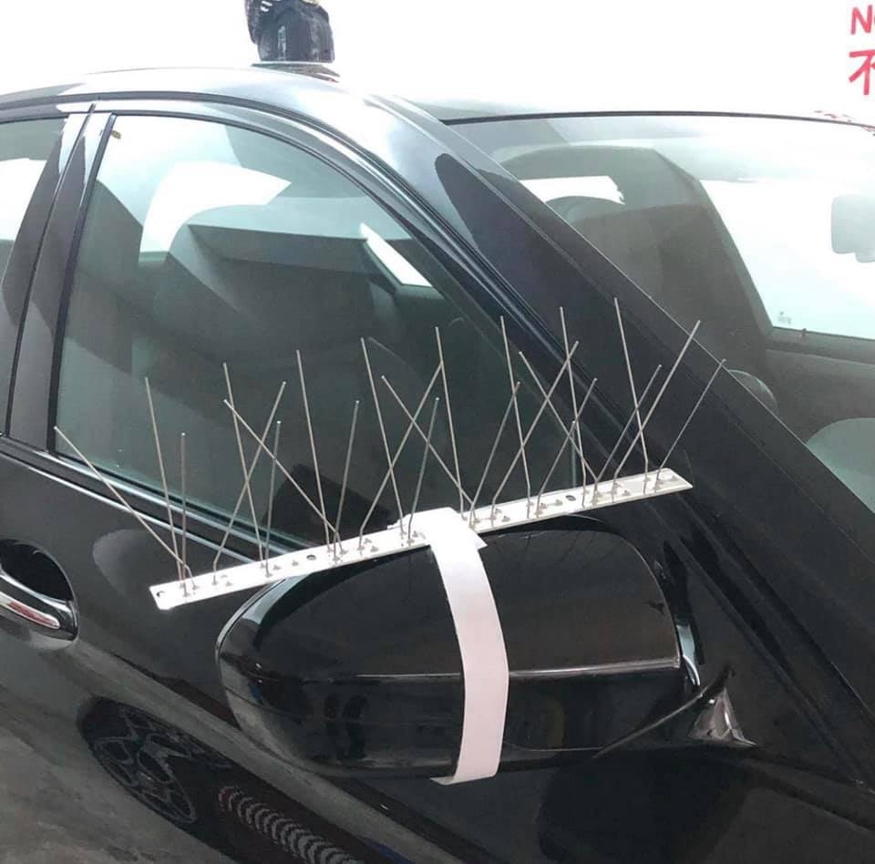 該車主於車頭兩邊倒後鏡放置驅鳥刺,被網民批評過分,指或會傷害雀鳥。(fb群組「馬路的事討論區」圖片) 該車主於車頭兩邊倒後鏡放置驅鳥刺,被網民批評過分,指或會傷害雀鳥。(fb群組「馬路的事討論區」圖片)