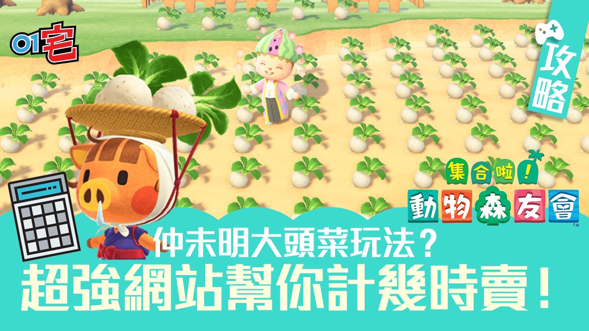 【動物之森/動物森友會】攻略|唔識炒?大頭菜價格計算機幫到你 【動物之森/動物森友會】攻略|唔識炒?大頭菜價格計算機幫到你