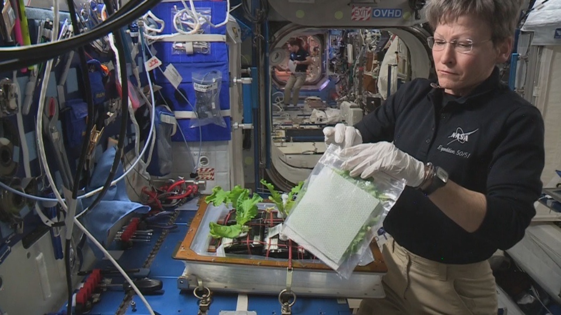 美國太空總署的國際太空站種植生菜的計畫(NASA) 美國太空總署的國際太空站種植生菜的計畫(NASA)