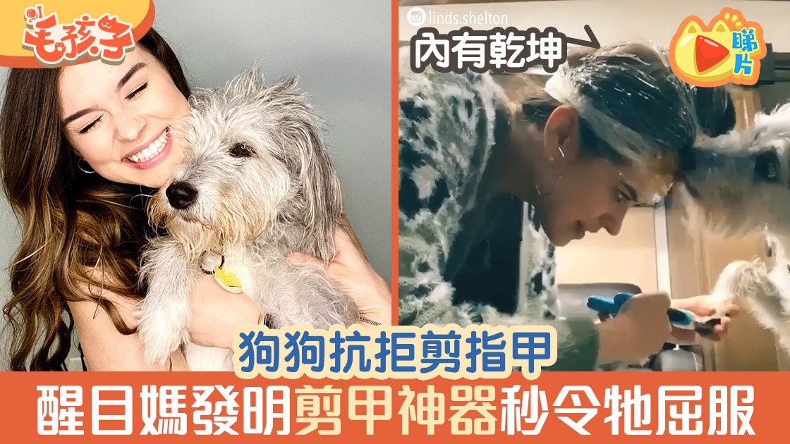 【狗剪指甲】狗狗抗拒剪指甲 醒目媽發明「剪甲神器」令牠秒聽話 【狗剪指甲】狗狗抗拒剪指甲 醒目媽發明「剪甲神器」令牠秒聽話