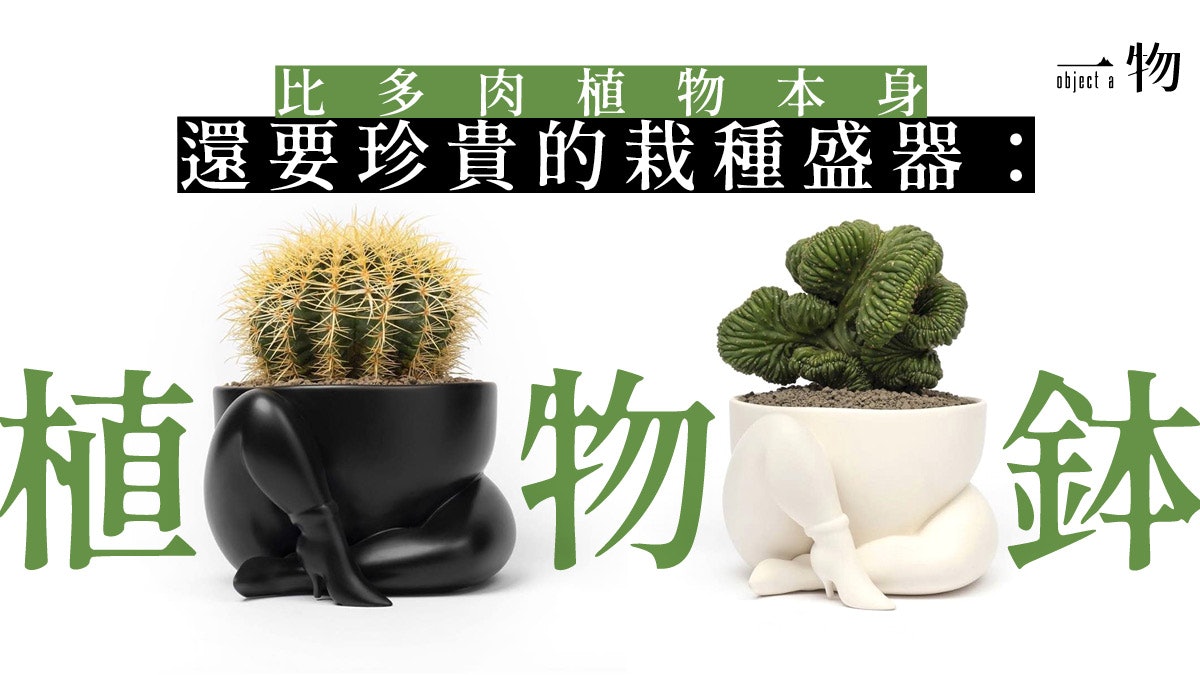 多肉植物 植木鉢風潮入侵潮流界nike球鞋設計師也來分一杯羹 多肉植物 植木鉢風潮入侵潮流界nike球鞋設計師也來分一杯羹