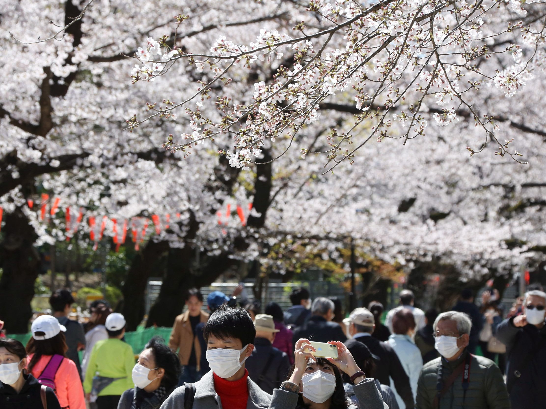 新型肺炎：日本至今有超過1.3萬宗確診個案，當中東京有逾4,000人受感染。圖為3月24日，上野公園有大批戴着口罩的遊客賞花。（AP）