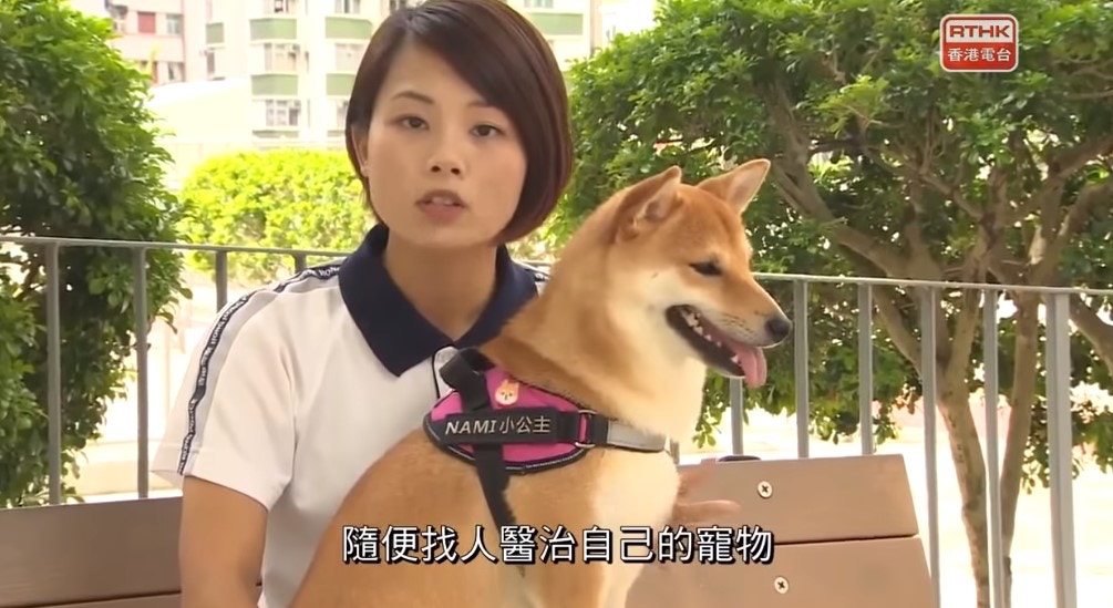 梁皓妤(Ruby)主持警訊長達3年,而她所養的柴犬Nami亦不時客串演出。(《警訊》截圖) 梁皓妤(Ruby)主持警訊長達3年,而她所養的柴犬Nami亦不時客串演出。(《警訊》截圖)