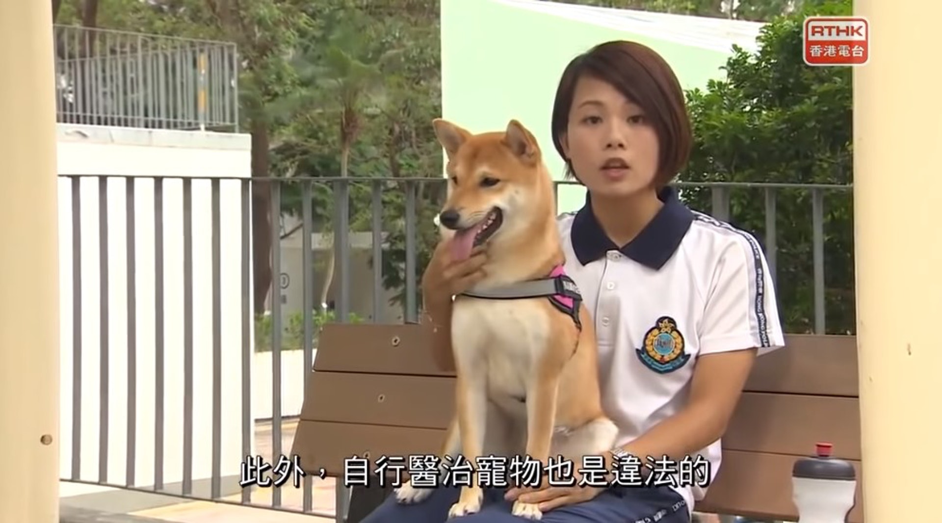 她更帶同愛犬「Nami」出演。(《警訊》截圖) 她更帶同愛犬「Nami」出演。(《警訊》截圖)