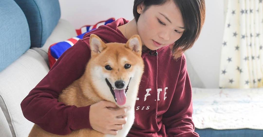 兩年多前,Ruby曾因疏忽而讓Nami吞下縫紉用的針線。(Instagram@goodfishleung) 兩年多前,Ruby曾因疏忽而讓Nami吞下縫紉用的針線。(Instagram@goodfishleung)