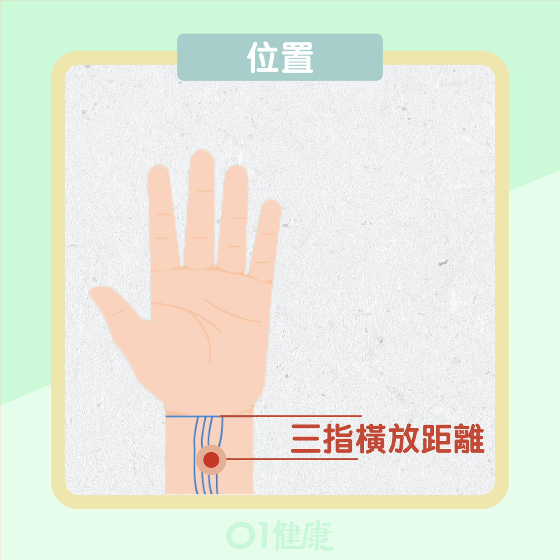 內關穴(01製圖) 內關穴(01製圖)