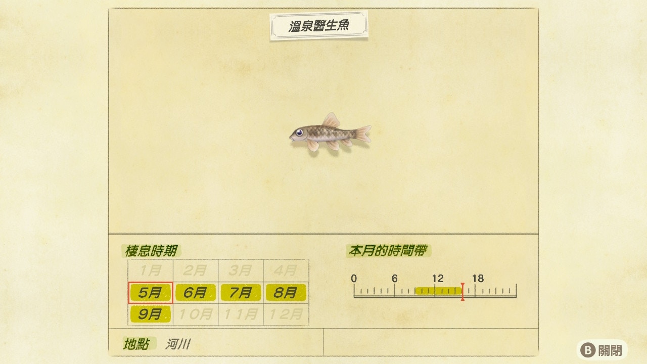 動物之森 動物森友會 攻略 6月魚類圖鑑 物價鯊魚來襲