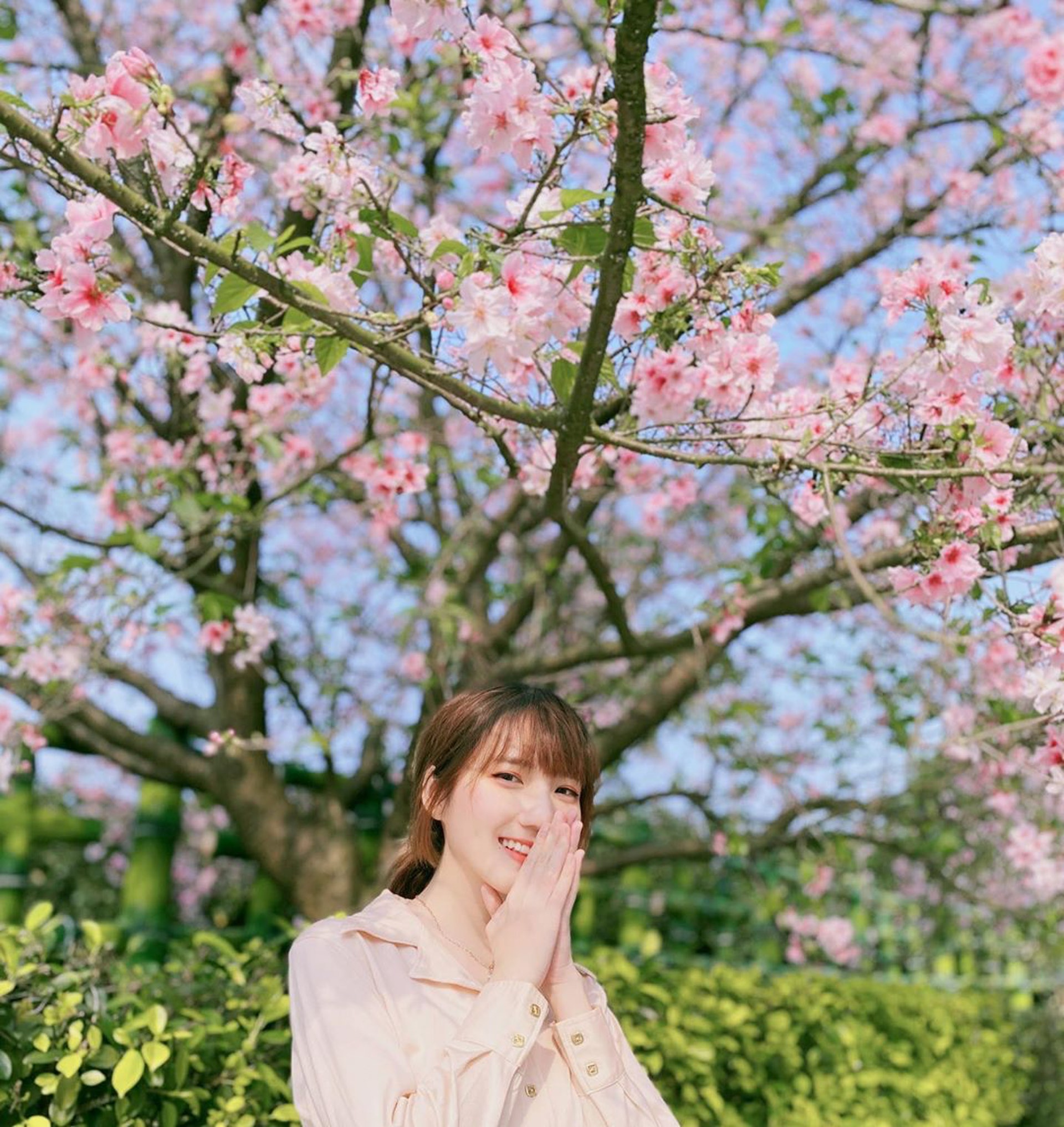 櫻花丸(IG@akl.syrena) 櫻花丸(IG@akl.syrena)